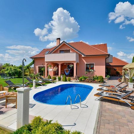 Holiday Villa Rita , Ideal For Families, Pool, Large Childrens Playground Varasd Kültér fotó